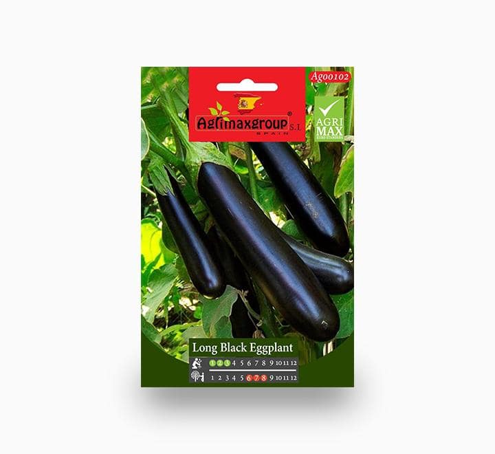 Long Black Eggplant Agrimax Seeds