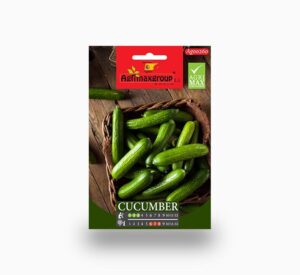 Small Cucumber Seeds