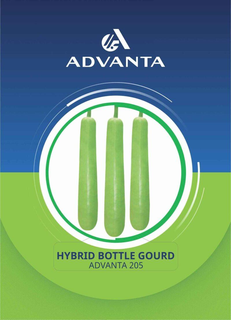 Advanta 205 Hybrid Bottle Gourd Seeds