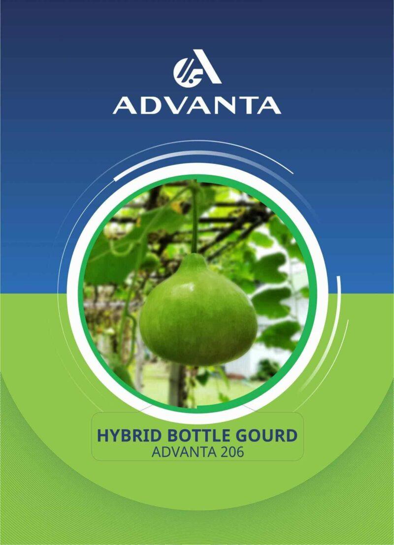 Advanta 206 Hybrid Bottle Gourd Seeds