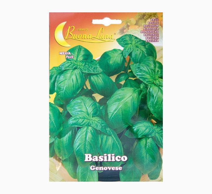 Basilico Genovese Seeds Mega Pack