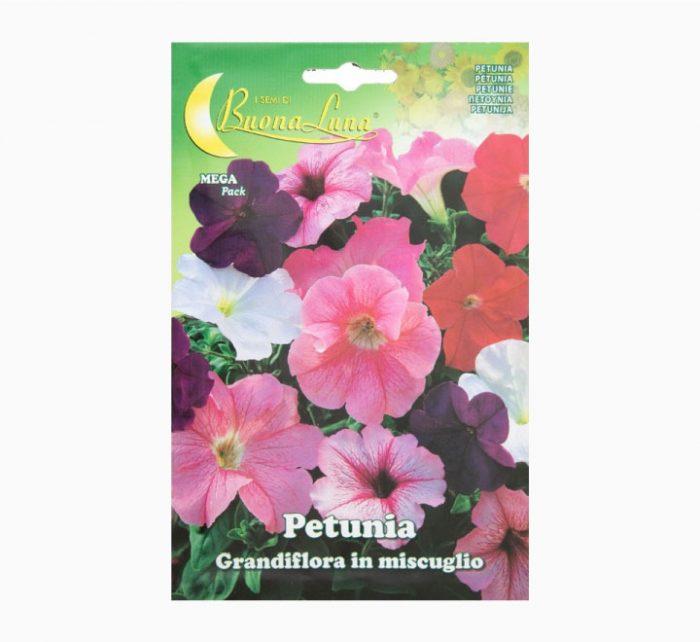 Petunia Grandiflora Mix Flowers Seeds