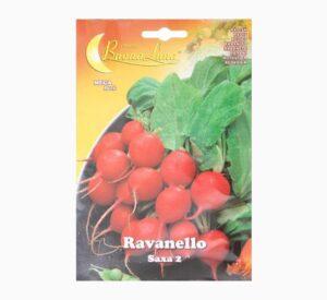 Ravanello Saxa Seeds